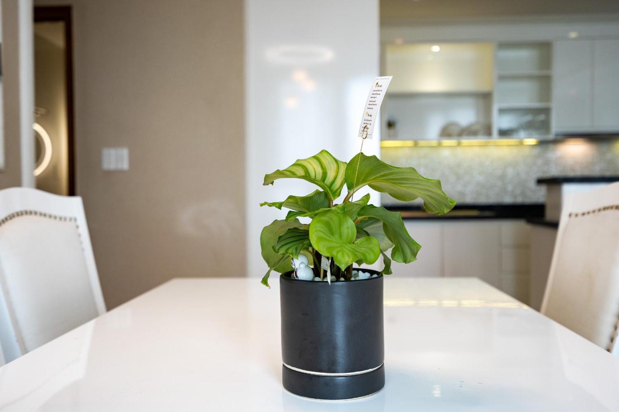 Leman Luxury Apartment By M Suites Хошимин Екстериор снимка